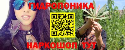 стафф Красноармейск