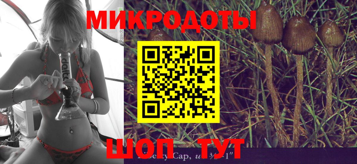 Людиново  Галлюциногенные грибы ЛСД  Вход с VPN 