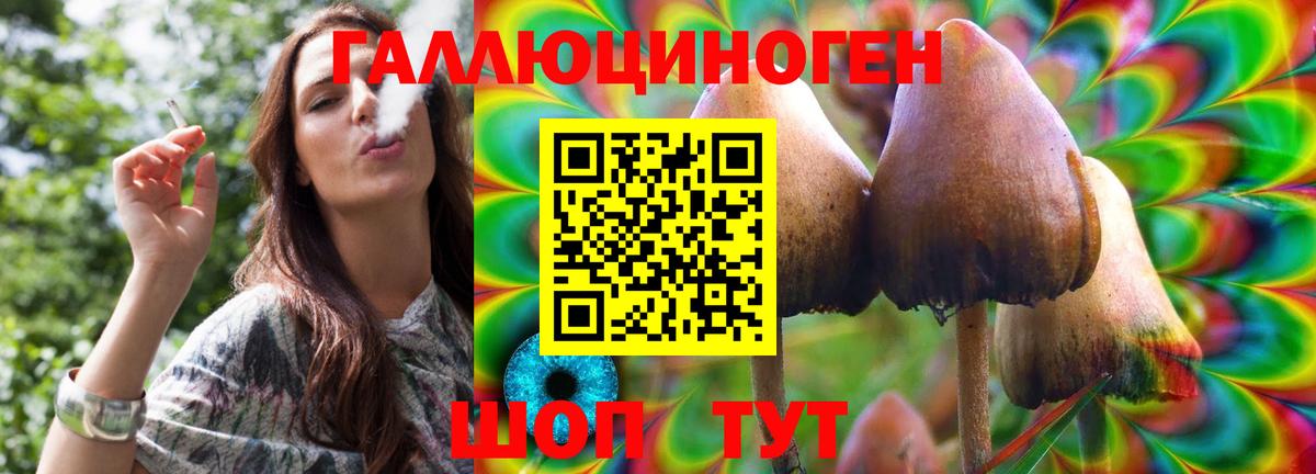 Псилоцибиновые грибы Cubensis Людиново